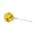 Ronde lolly 