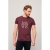 REGENT heren t-shirt 150g rood