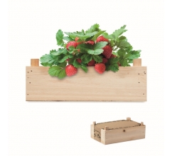 Aardbeienpakket in houten krat bedrukken